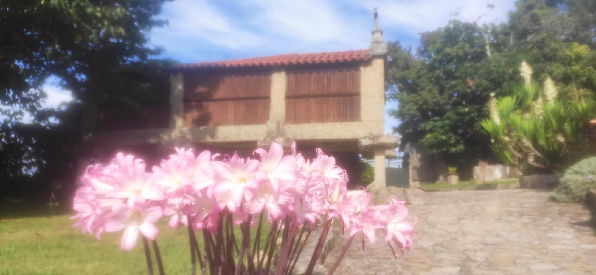Casal De Folgueiras Rias Baixas Guest House Meis Exterior foto